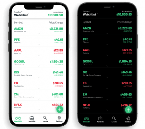 Tradezero Leverage